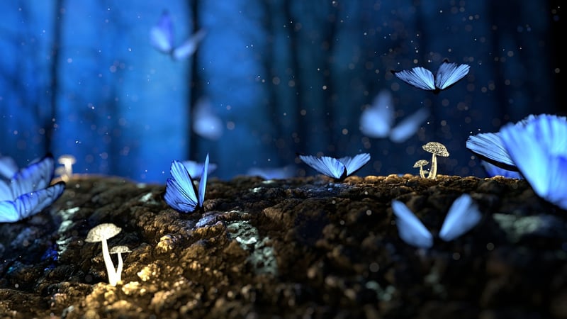 Fairytale Woods